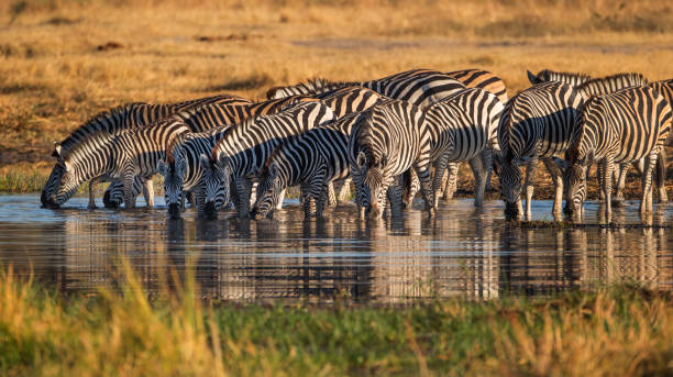  Responsible Tourism in Tanzania 2026–2027 